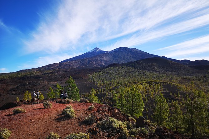 Teide National Park for smaller groups - A half-day route into Teide’s volcanic country