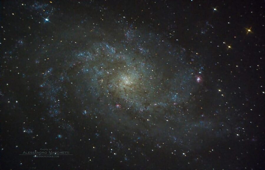 Teide National Park: Guided Large Telescope Stargazing Tour - Is this Teide stargazing tour worth booking?