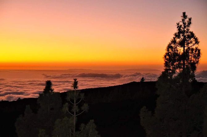 Teide National Park Sunset & Stargazing with Dinner (Star Safari) - Timing, toilets and the ride back
