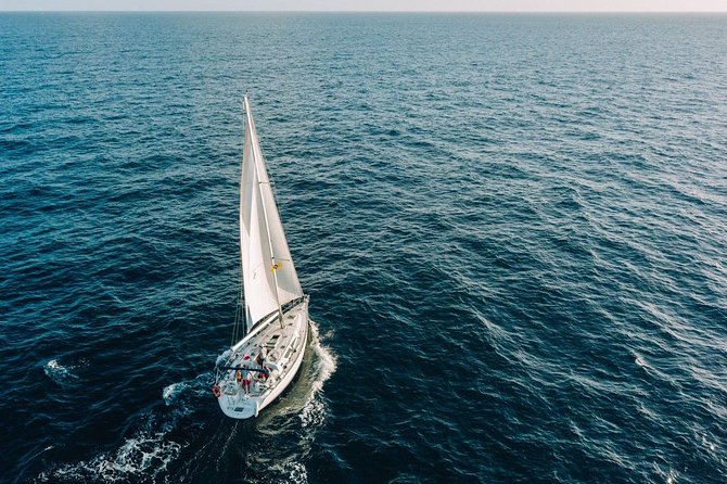 Tenerife 3-Hour Discover Whales and Dolphins - FAQ
