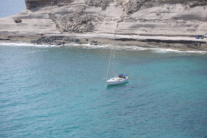 Tenerife 3-Hour Discover Whales and Dolphins - Anchoring at La Caleta de Adeje