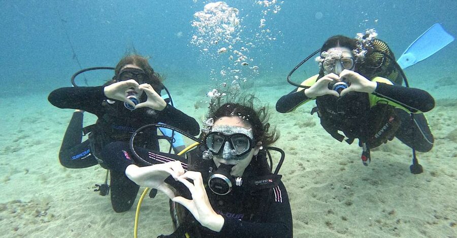 Tenerife: Beginner's Dive at a Spot with Turtle Sightings - At a glance