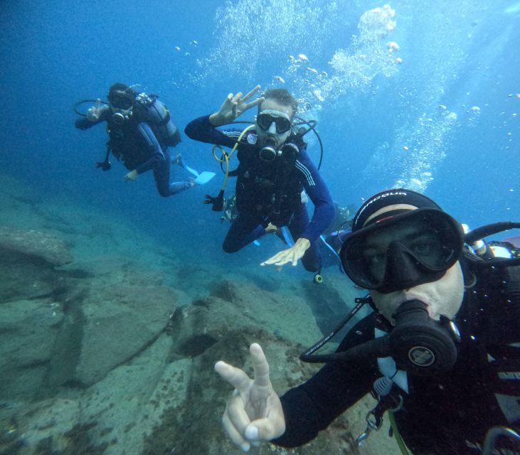 Tenerife: Beginner's Dive at a Spot with Turtle Sightings - From Puerto Colón to the water