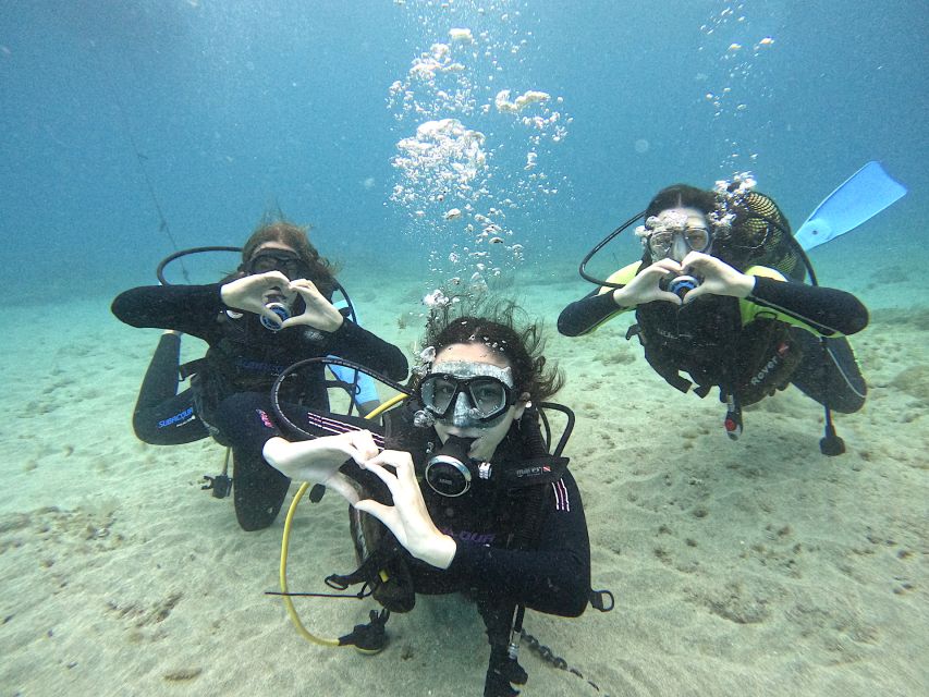 Tenerife: Beginner's Dive at a Spot with Turtle Sightings - A careful first introduction underwater