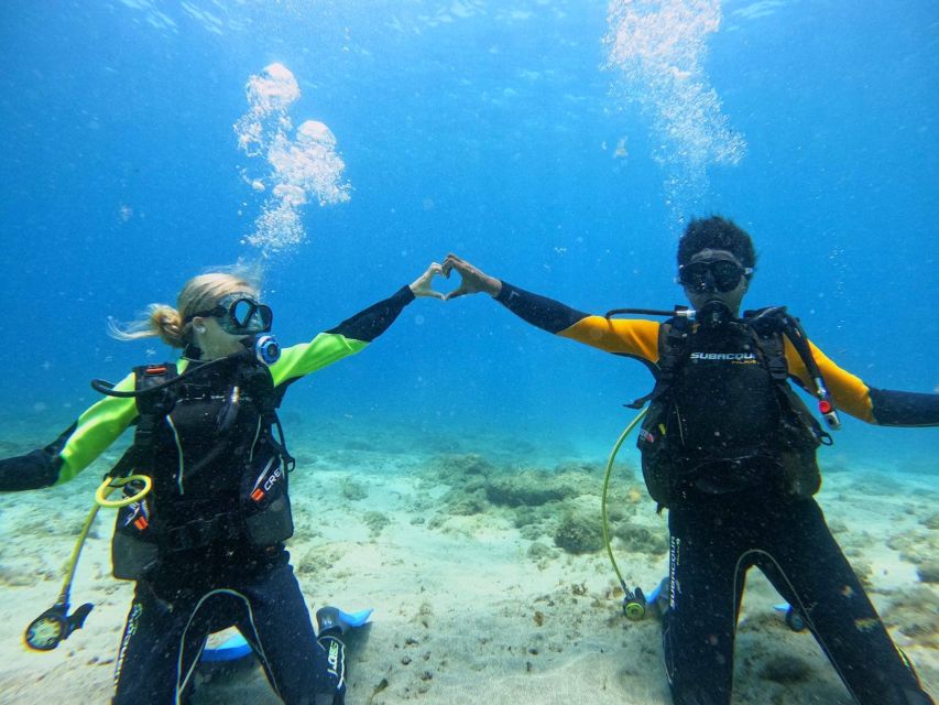 Tenerife: Beginner's Dive at a Spot with Turtle Sightings - Snorkeling and the return boat ride