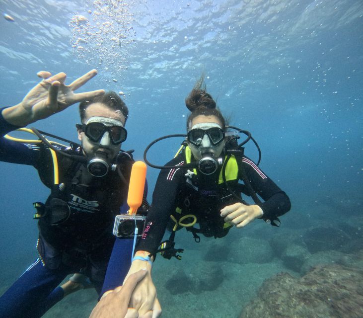 Tenerife: Beginner's Dive at a Spot with Turtle Sightings - Who should book this Tenerife outing?