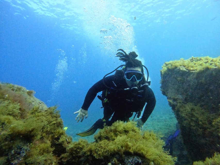 Tenerife: Beginner's Dive at a Spot with Turtle Sightings - Should you book it?