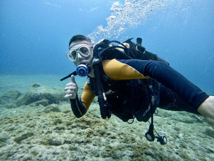 Tenerife: Beginner's Dive at a Spot with Turtle Sightings - A short ride along Tenerife’s south coast