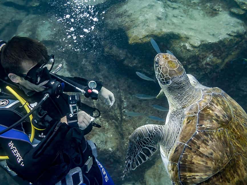 Tenerife: Beginner Scuba Diving Experience with Pickup - At a glance