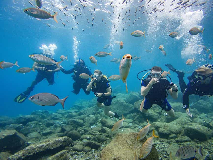 Tenerife: Beginner Scuba Diving Experience with Pickup - Starting at the El Fraile center