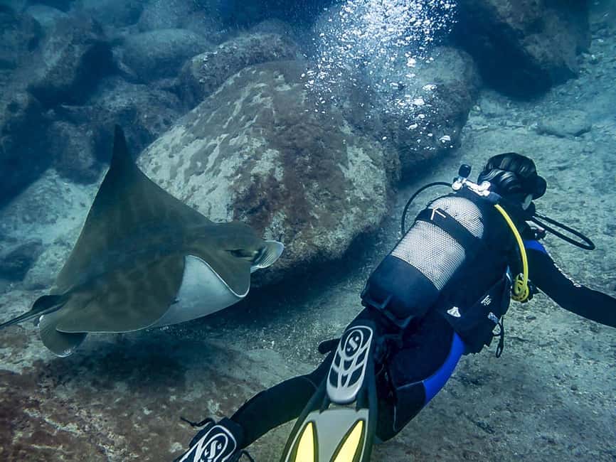 Tenerife: Beginner Scuba Diving Experience with Pickup - Timing, age and safety details