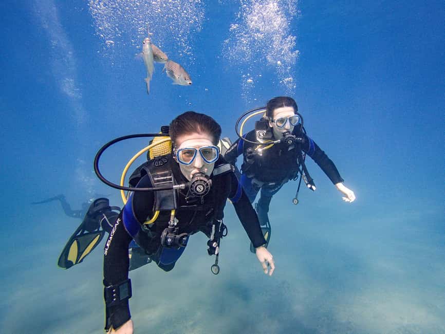 Tenerife: Beginner Scuba Diving Experience with Pickup - Is this Tenerife scuba session right for you?