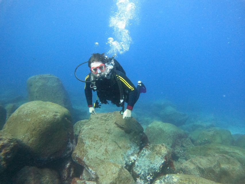 Tenerife: Beginners Scuba Dive Experience in Turtle Area - A first look beneath Costa Adeje