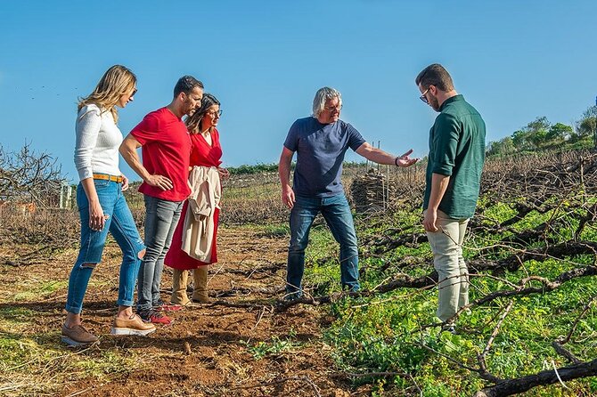 Tenerife Bodegas Monje Winery Tour with Wine and Cheese Tasting - Who will enjoy this tasting most?