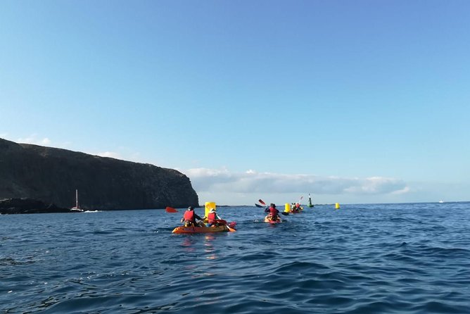 Tenerife by Kayak Adventure in small group - At a glance