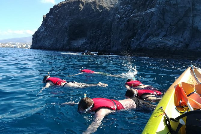Tenerife by Kayak Adventure in small group - How much work is the paddle?