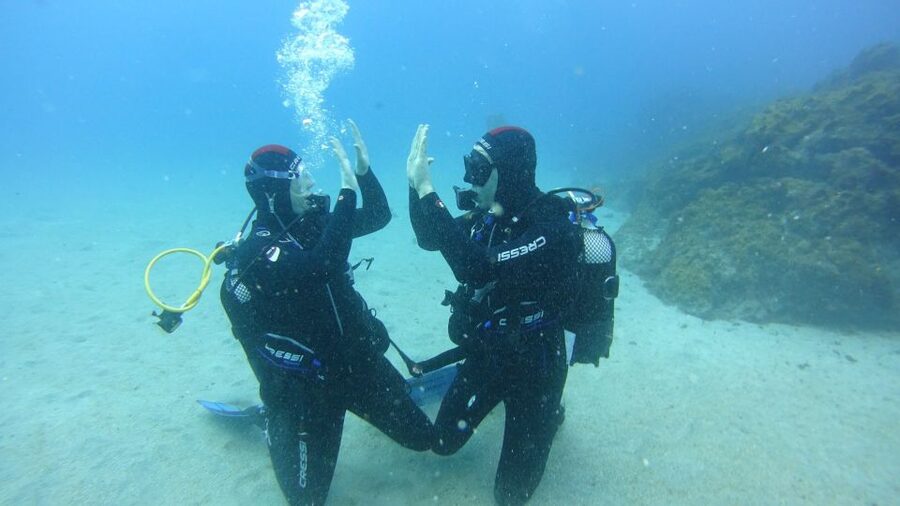 Tenerife: Discover Scuba Diving with Free Photos - At a glance