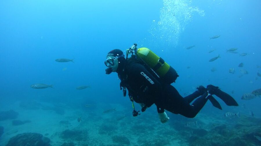 Tenerife: Discover Scuba Diving with Free Photos - A volcanic coast, seen from below