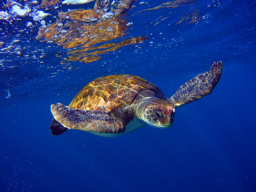 Tenerife: Discover Scuba Diving with Free Photos - What the instructor and group size mean for you