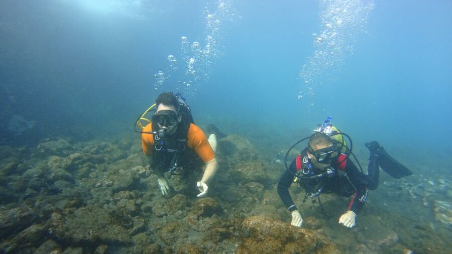 Tenerife: Discover Scuba Diving with Free Photos - Who will enjoy this first scuba session?
