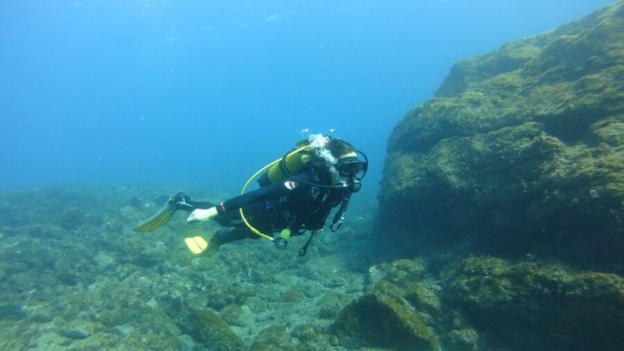 Tenerife: Discover Scuba Diving with Free Photos - Should you book it?