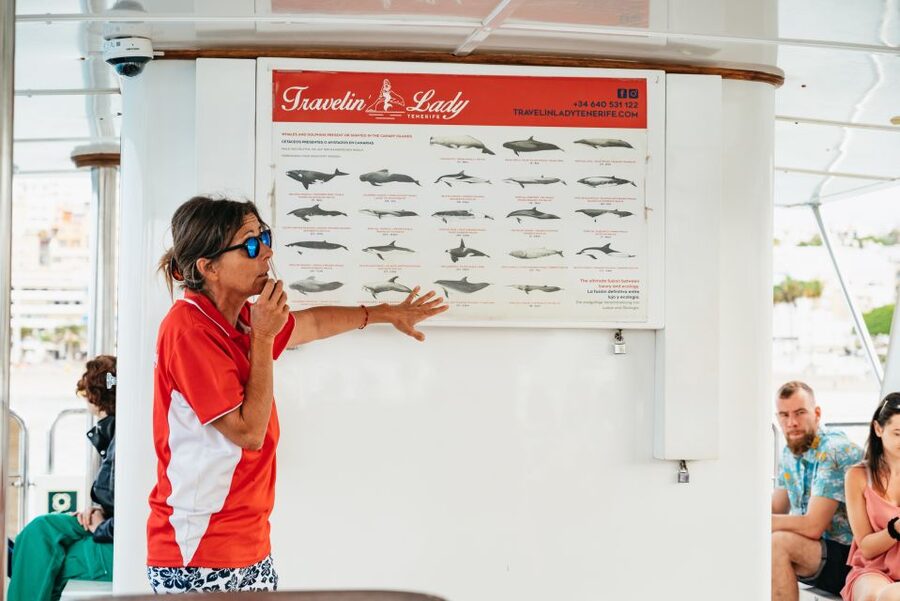 Tenerife: Eco-Yacht Whale and Dolphin Watching and Swimming - At a glance
