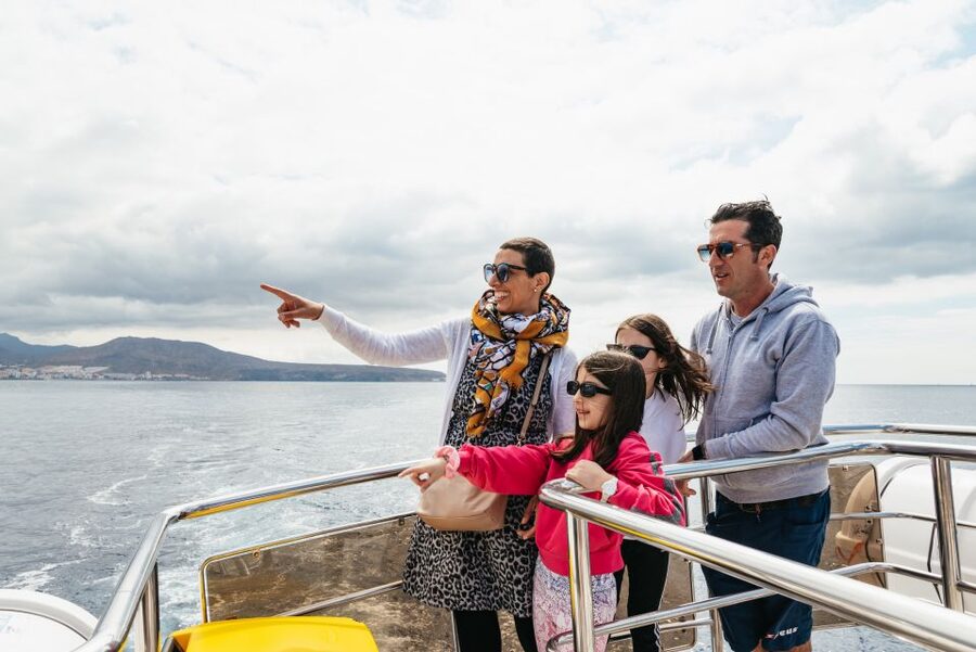 Tenerife: Eco-Yacht Whale and Dolphin Watching and Swimming - FAQ