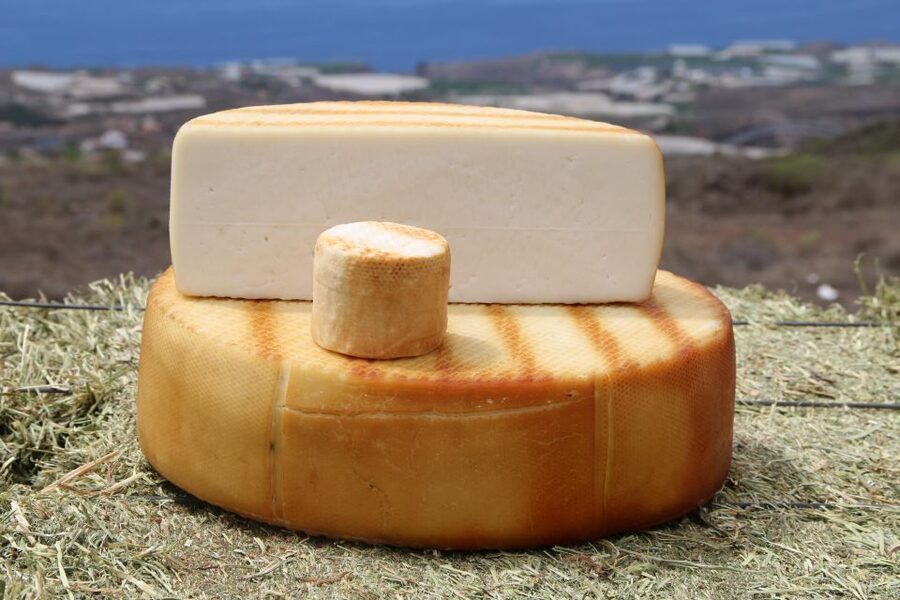 Tenerife - Farm Tour with Cheese Tasting - Tasting three award-winning cheeses