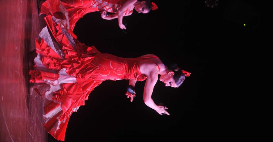 Tenerife: Flamenco Performance at Teatro Coliseo - At a glance