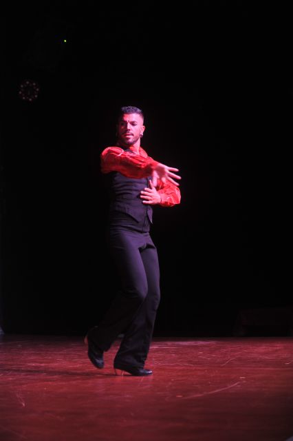 Tenerife: Flamenco Performance at Teatro Coliseo - Two halves, two different moods