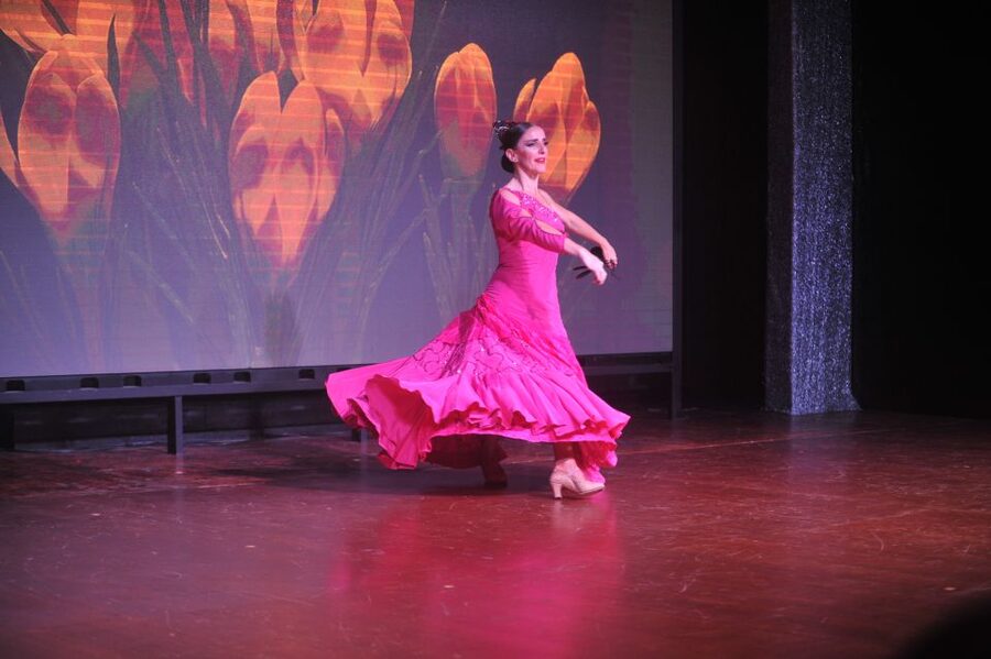 Tenerife: Flamenco Performance at Teatro Coliseo - Seating, drinks and the VIP choice
