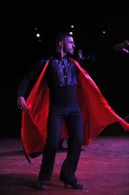 Tenerife: Flamenco Performance at Teatro Coliseo - Is $37 good value?