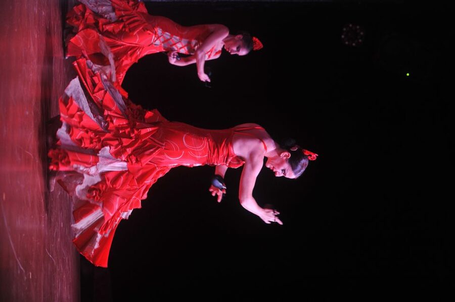 Tenerife: Flamenco Performance at Teatro Coliseo - Practical details before you book