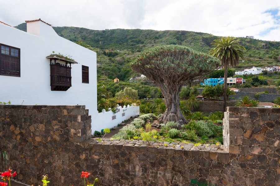 Tenerife: Full-Day Guided Island Tour - Los Gigantes and the west-coast views