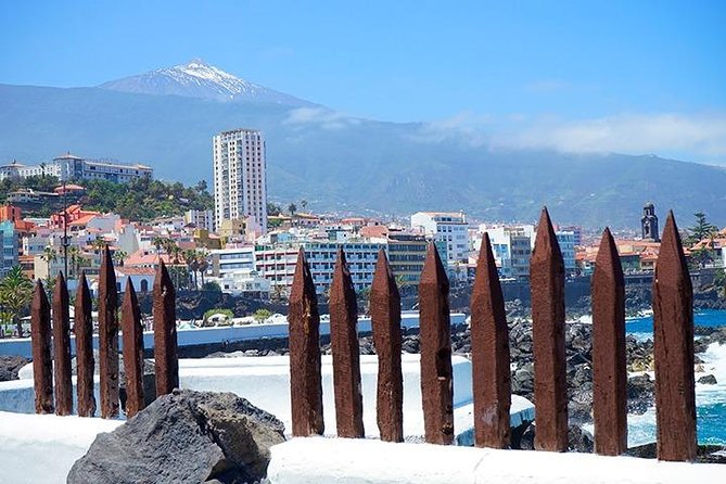 Tenerife Full Island Tour - The guide can shape the day