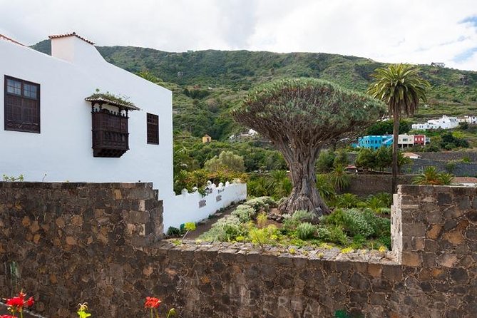 Tenerife Full Island Tour - Is the $65.17 fare good value?
