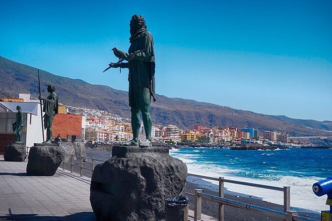 Tenerife Full Island Tour - Who should book this Tenerife island tour?
