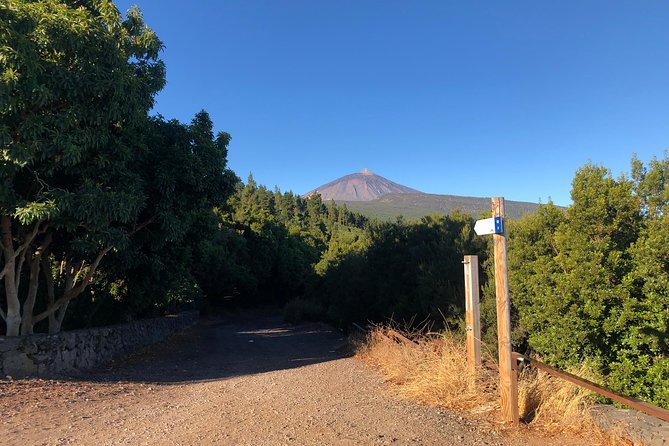 Tenerife Grand Tour: including Teide National Park and Masca - Teide and Roques de García: volcanic views, brief stop