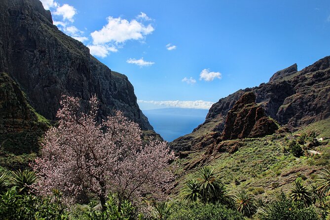 Tenerife Grand Tour: including Teide National Park and Masca - Garachico: lava pools and a compact old town