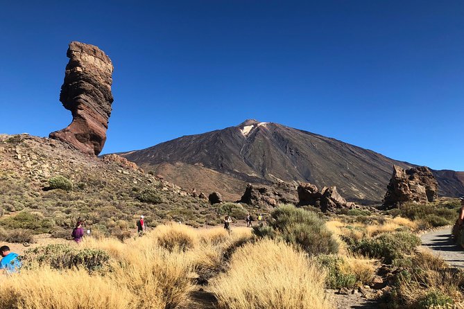 Tenerife Grand Tour: including Teide National Park and Masca - Is the $66.08 fare good value?