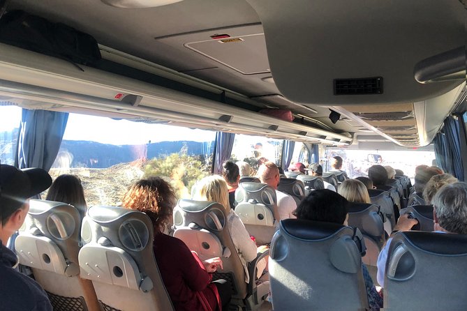 Tenerife Grand Tour: including Teide National Park and Masca - Icod de los Vinos: the Drago tree and lunch stop
