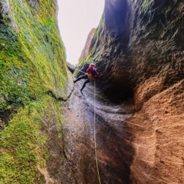 Tenerife: Guided Canyoning Experience in Los Arcos - How much the $82 price gets you