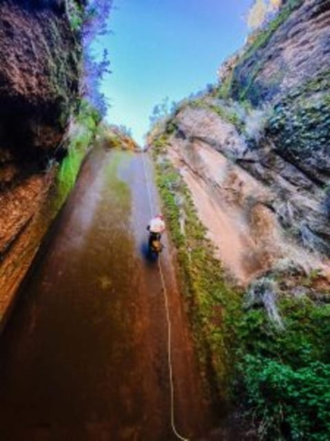 Tenerife: Guided Canyoning Experience in Los Arcos - Who will enjoy this outing, and who should skip it