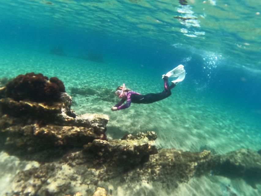 Tenerife: Half-Day Snorkeling Tour - Abades Bay is the main event