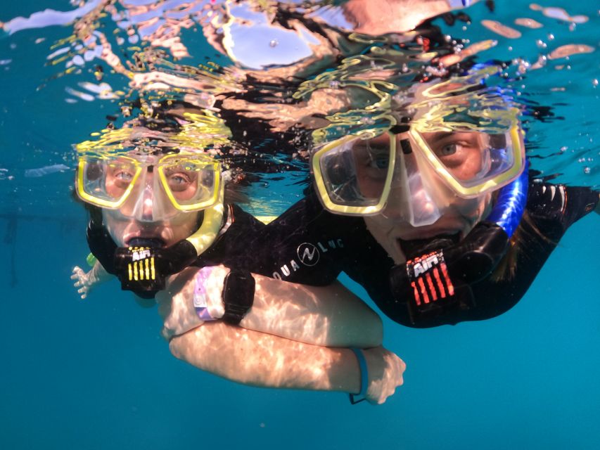 Tenerife: Half-Day Snorkeling Tour - FAQ