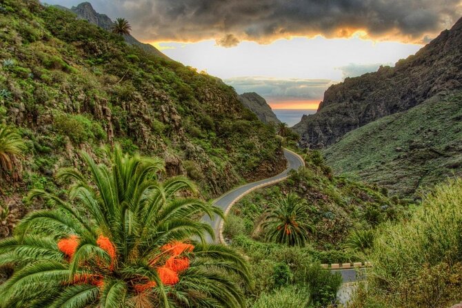 Tenerife Highlights Full-Day Tour - A full-day route across Tenerife