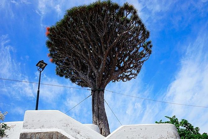 Tenerife Highlights Full-Day Tour - Masca’s ridge road and views toward La Gomera