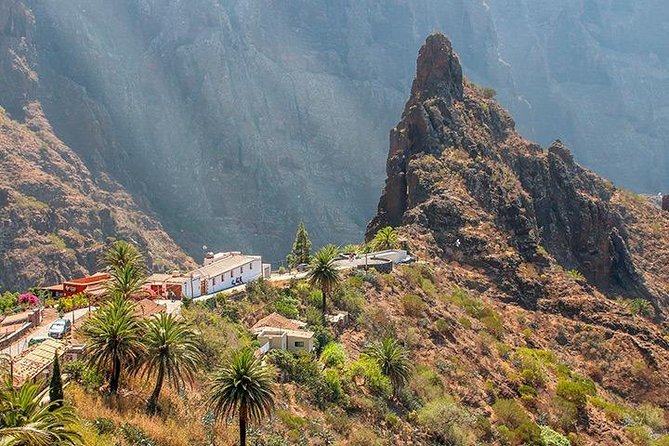 Tenerife Highlights Full-Day Tour - What the price includes, and what it does not