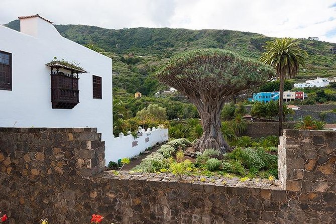 Tenerife Highlights Full-Day Tour - Who will get the most from this trip