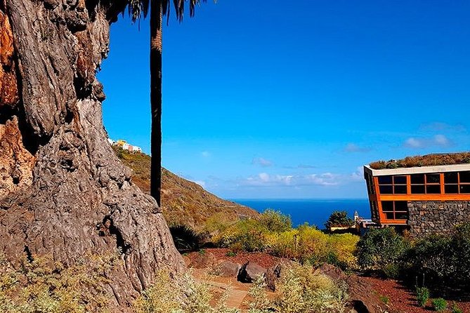 Tenerife Highlights Full-Day Tour - Should you book the Tenerife Highlights Full-Day Tour?